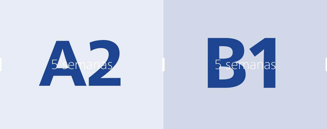 A2: 5 semanas | B1: 5 semanas