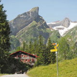 The Alps